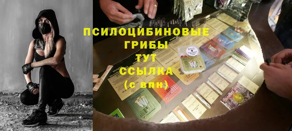 МДПВ Алексеевка