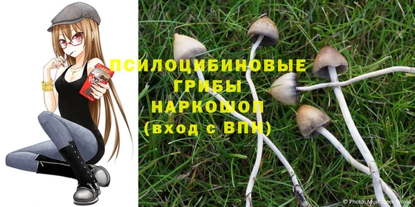 МДПВ Алексеевка