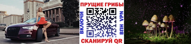 Галлюциногенные грибы Cubensis  Лосино-Петровский 