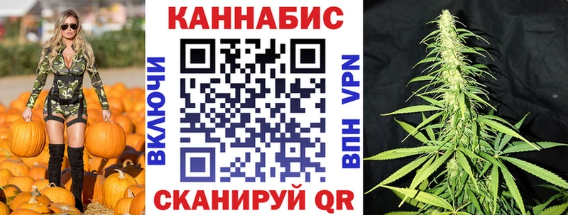 Шишки марихуана White Widow  kraken зеркало  Лосино-Петровский 
